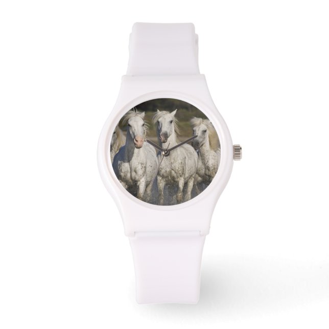 Frankrijk, Camargue. Paarden rennen Horloge (Voorkant)