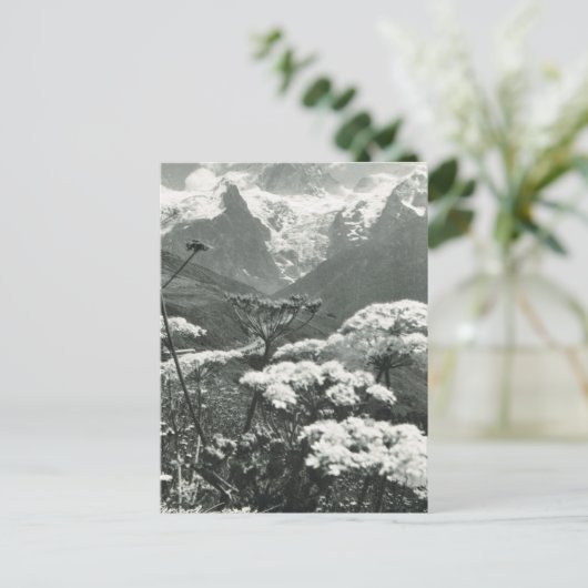  Frankrijk, Chamonix "Mont Blanc" Briefkaart (Staand voorkant)