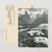 Frankrijk, Chamonix "Mont Blanc" Briefkaart (Voorkant / Achterkant)