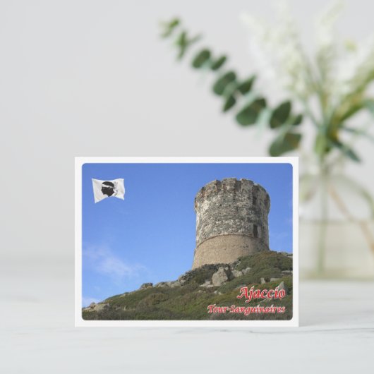 Frankrijk - Corsica - Ajaccio - Briefkaart (Staand voorkant)