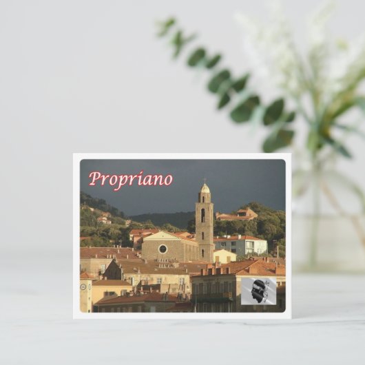 Frankrijk - Corsica - Propriano - Briefkaart (Staand voorkant)