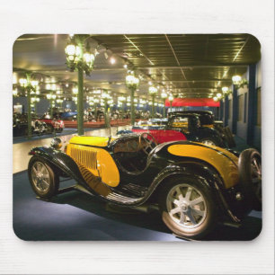 FRANKRIJK, Elzas (Haut Rhin), Mulhouse: Musee 2 Muismat