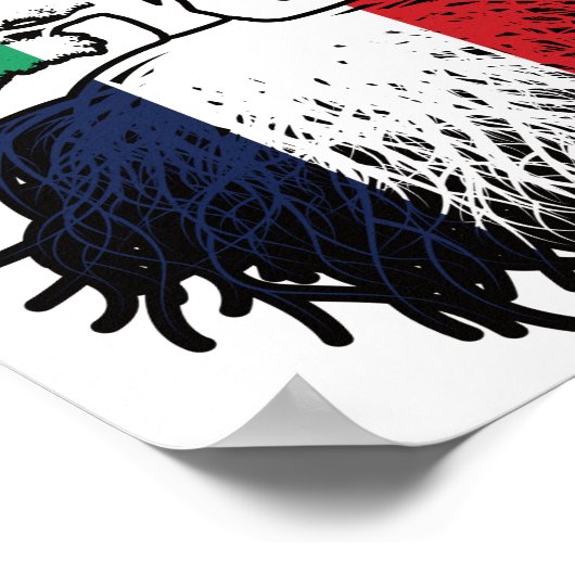 Frankrijk Frankrijk Ierland - vlag boomkorren Poster (Hoek)