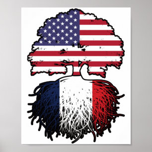 Frankrijk Frans Amerikaans USA Verenigde Staten Am Poster