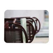 FRANKRIJK, Franse Alpen (Haute, Savoie), ANNECY: Magneet (Horizontaal)