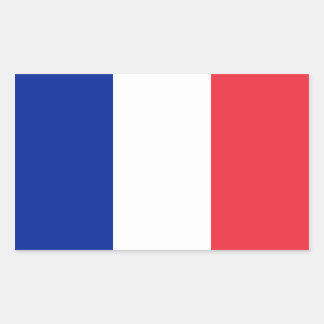 Frankrijk/Franse vlag Rechthoekige Sticker