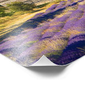 Frankrijk, Gordes. Klooster Cistercian van Foto Afdruk (Hoek)