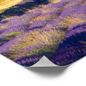 Frankrijk, Gordes. Klooster Cistercian van Poster (Hoek)