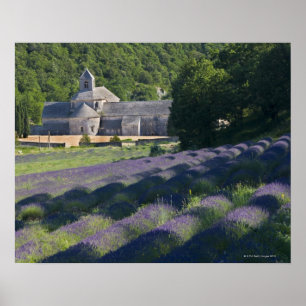 Frankrijk, Gordes, Senaque Abbey, lavender field Poster