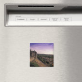 FRANKRIJK, Languedoc Carcassonne 2 Magneet (Insitu (Vaatwasser))