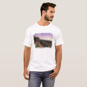 FRANKRIJK, Languedoc Carcassonne 2 T-shirt (Voorkant volledig)