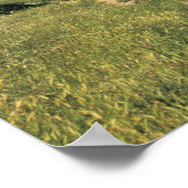 FRANKRIJK, Languedoc Carcassonne Poster (Hoek)