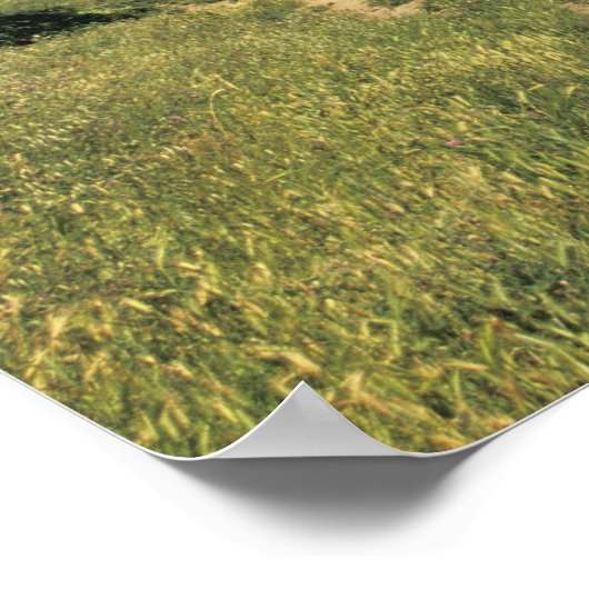 FRANKRIJK, Languedoc Carcassonne Poster (Hoek)