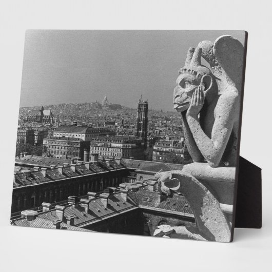 Frankrijk Notre Dame Cathedraal denker Fotoplaat (Zijkant)