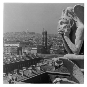  Frankrijk Notre Dame Cathedraal denker Tegeltje