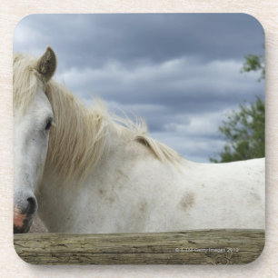 Frankrijk Onderzetter