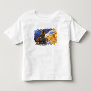Frankrijk, Parijs. Eiffeltoren in schemerige mist  Kinder Shirts