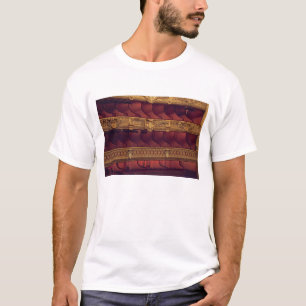 Frankrijk, Parijs. Gedeeltelijke zicht op balkonst T-shirt