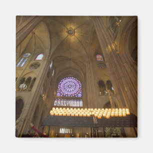 Frankrijk, Parijs. Interieur van de Notre Dame kat Magneet