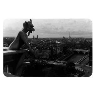  Frankrijk Paris Notre Dame Cathedral duivel Magneet