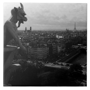  Frankrijk Paris Notre Dame Cathedral duivel Tegeltje