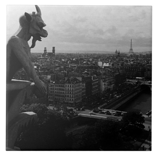  Frankrijk Paris Notre Dame Cathedral duivel Tegeltje (Voorkant)