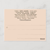 Frankrijk, Plan en afbeeldingen van de Bastille Briefkaart (Achterkant)
