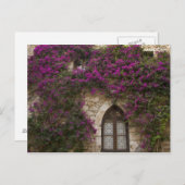 Frankrijk, Provence, Eze. Bright Pink Briefkaart (Voorkant / Achterkant)