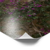 Frankrijk, Provence, Eze. Bright Pink Foto Afdruk (Hoek)