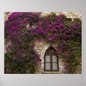 Frankrijk, Provence, Eze. Bright Pink Poster (Voorkant)