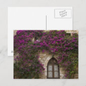 Frankrijk, Provence, Eze. Helder roze Briefkaart (Voorkant / Achterkant)