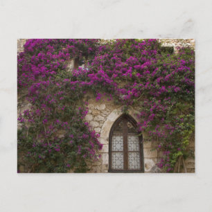 Frankrijk, Provence, Eze. Helder roze Briefkaart