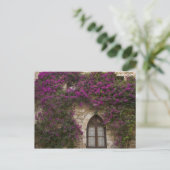 Frankrijk, Provence, Eze. Helder roze Briefkaart (Staand voorkant)