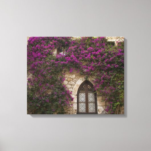 Frankrijk, Provence, Eze. Helder roze Canvas Afdruk (Voorkant)