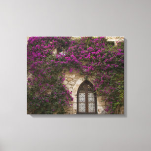 Frankrijk, Provence, Eze. Helder roze Canvas Afdruk