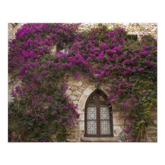 Frankrijk, Provence, Eze. Helder roze Foto Afdruk (Voorkant)