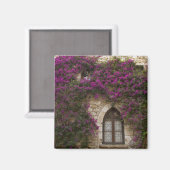 Frankrijk, Provence, Eze. Helder roze Magneet (Voorkant / Achterkant)