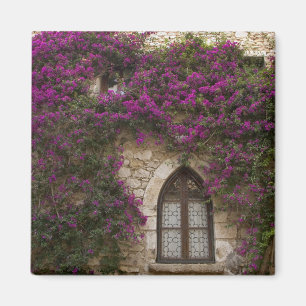 Frankrijk, Provence, Eze. Helder roze Magneet