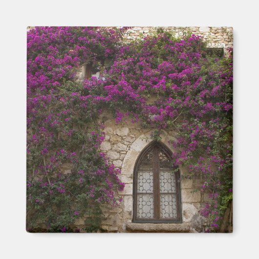 Frankrijk, Provence, Eze. Helder roze Magneet (Voorkant)