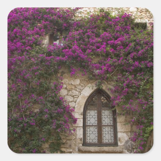 Frankrijk, Provence, Eze. Helder roze Vierkante Sticker (Voorkant)