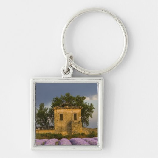Frankrijk, Provence. Lavendelveld en Sleutelhanger (Voorkant)