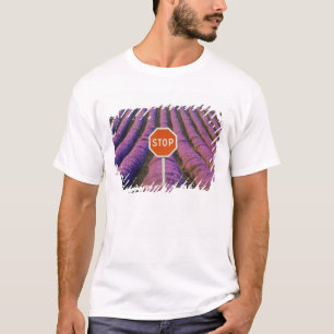 Frankrijk, Provence. Rijen lavendel en stop T-shirt
