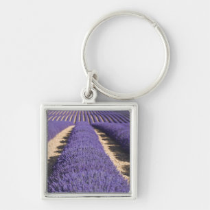 Frankrijk, Provence. Rijen lavendel in bloei. 3 Sleutelhanger