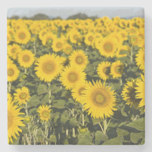 Frankrijk, Provence, Valensole. Gebied van Stenen Onderzetter