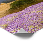 Frankrijk, Provence. Veld van lavendel en Poster (Hoek)