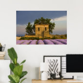 Frankrijk, Provence. Veld van lavendel en Poster (Thuiskantoor)