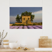 Frankrijk, Provence. Veld van lavendel en Poster (Keuken)