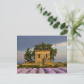 Frankrijk, Provence. Waaiveld en Briefkaart (Staand voorkant)
