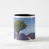 Frankrijk, Provence. Wegen lavendel in bloei. 4 Tweekleurige Koffiemok (Center)