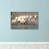 Frankrijk, Provence. Witte Camargue-paarden Canvas Afdruk (Insitu (Houten vloer))